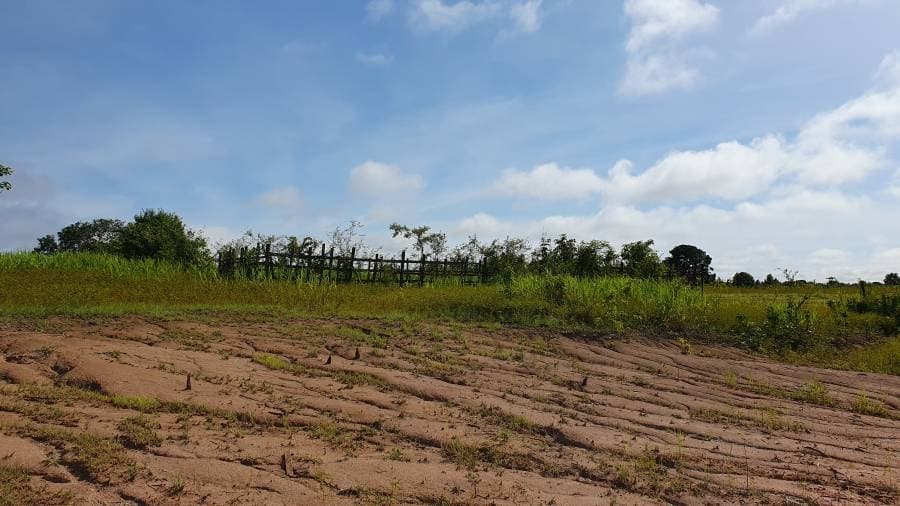 EXCELENTE FAZENDA NA VÁRZEA E TERRA FIRME, A 30 MINUTOS DE MANACAPURU!