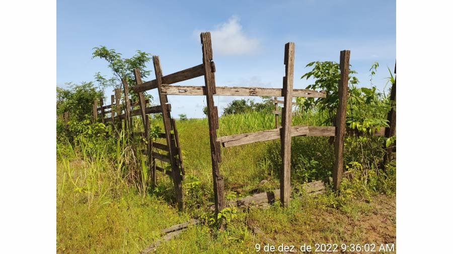 EXCELENTE FAZENDA NA VÁRZEA E TERRA FIRME, A 30 MINUTOS DE MANACAPURU! - imagem 3